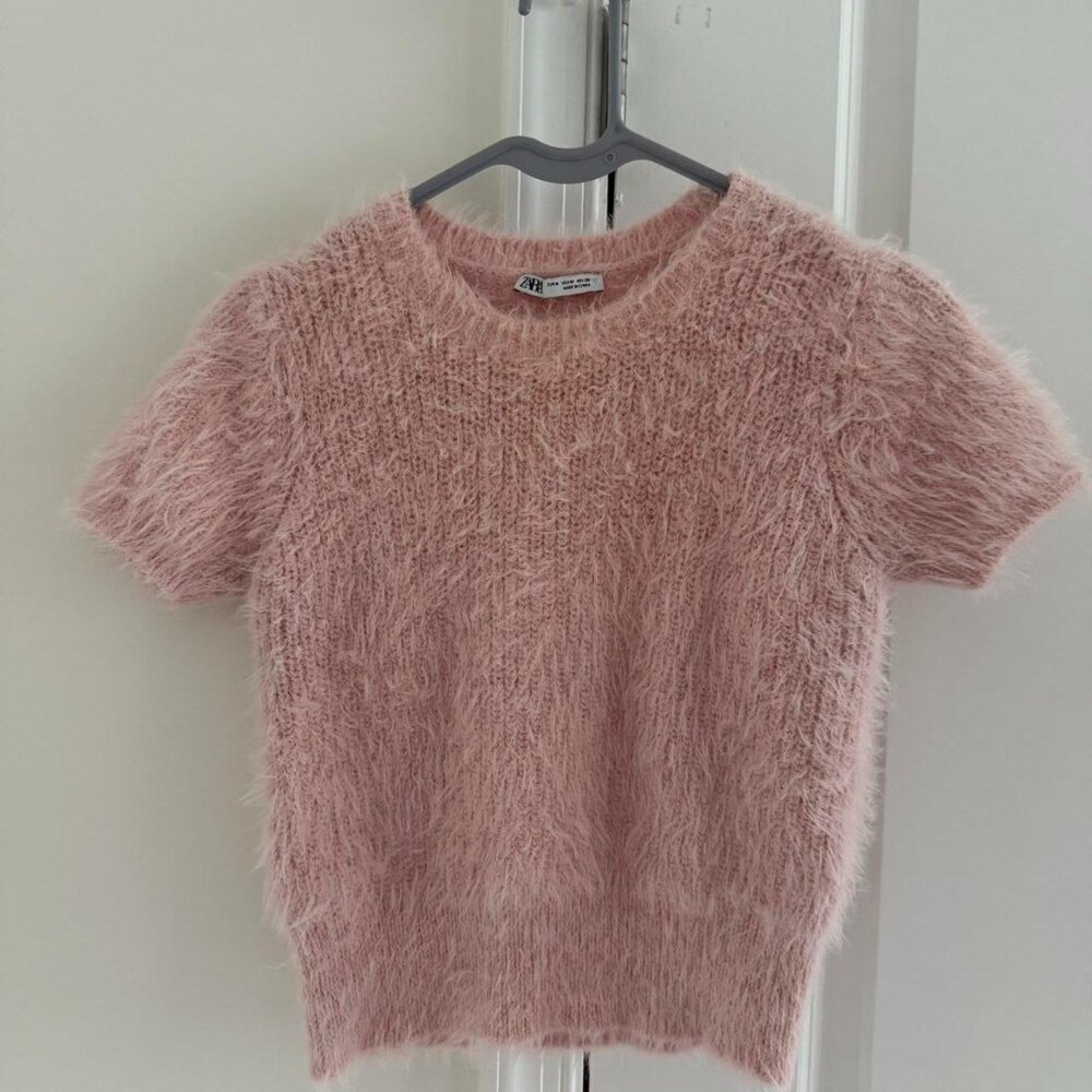 Zara Women's Pink Crop-top
